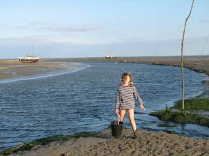 op-zoek-naar-kokkels-schier