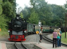 Sellin Rasende Roland